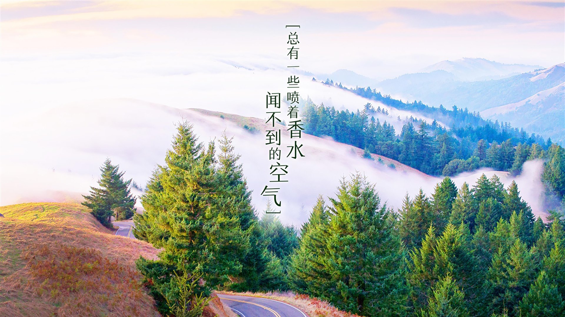 火爆现场：球迷欢呼不断，气氛火热！，球迷欢呼视频