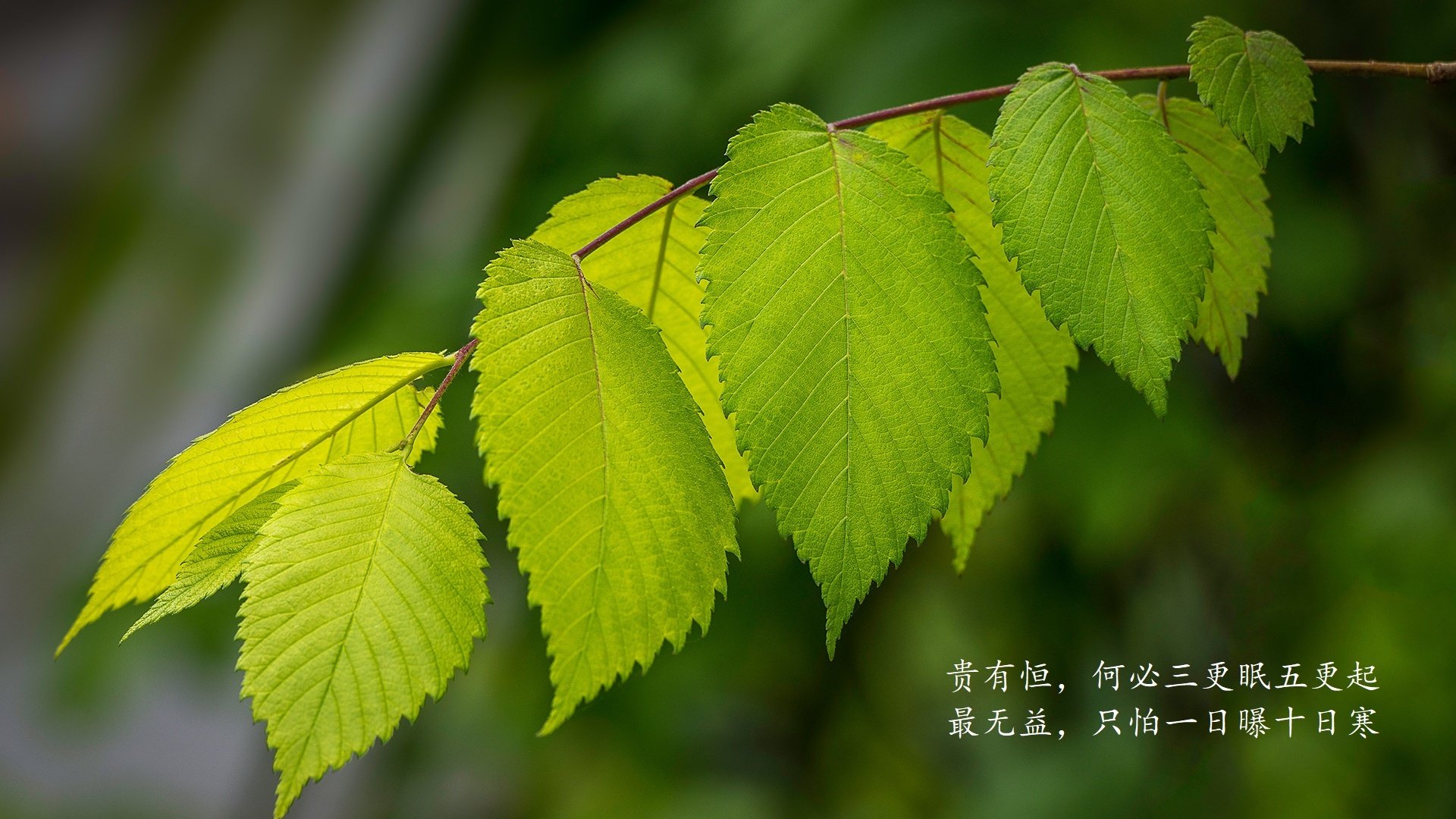 开云·Kaiyun网页版-田径世锦赛刘翔担任解说嘉宾，网友怀旧刷屏，刘翔第一次获得世界田径锦标赛冠军