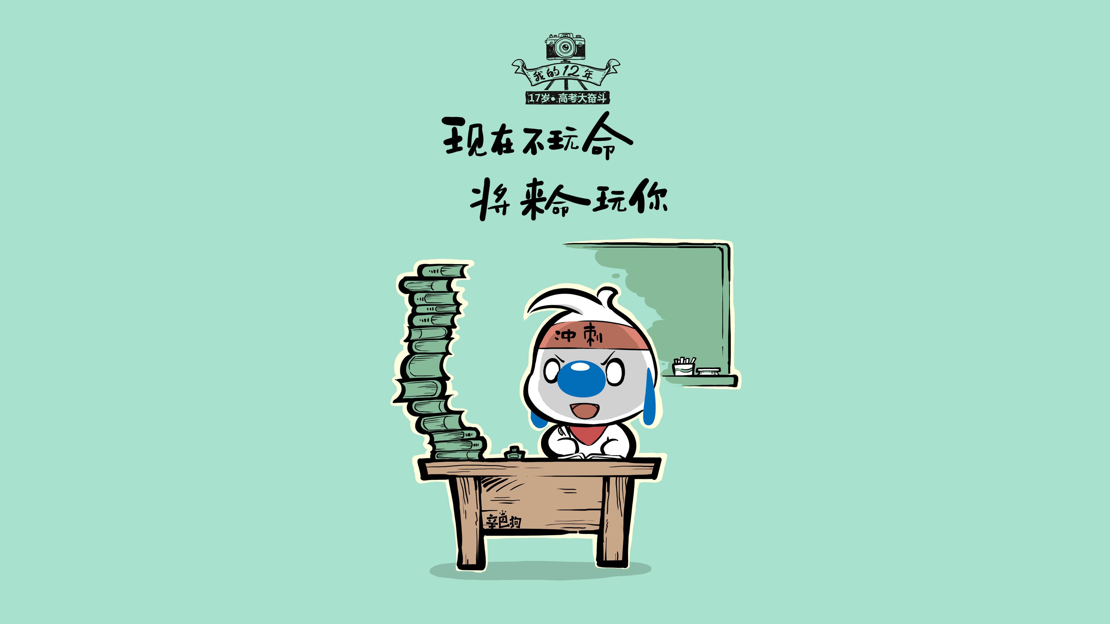 车手专访：冠军背后的坚定信念，冠军车比赛